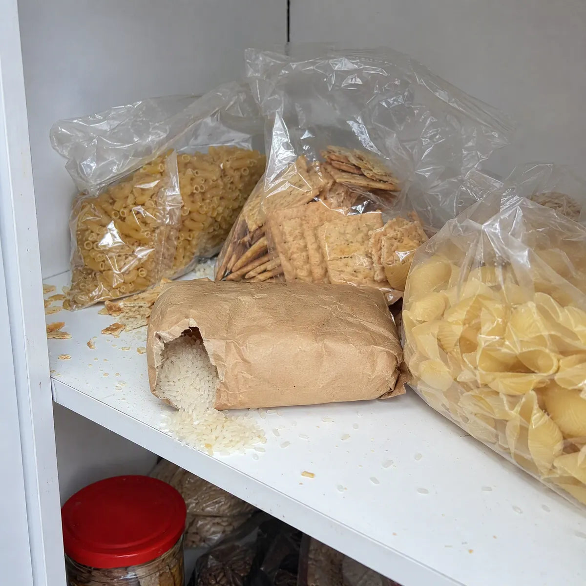 Antes: alacena con bolsas abiertas, migajas y una bolsa de arroz mordida en la esquina