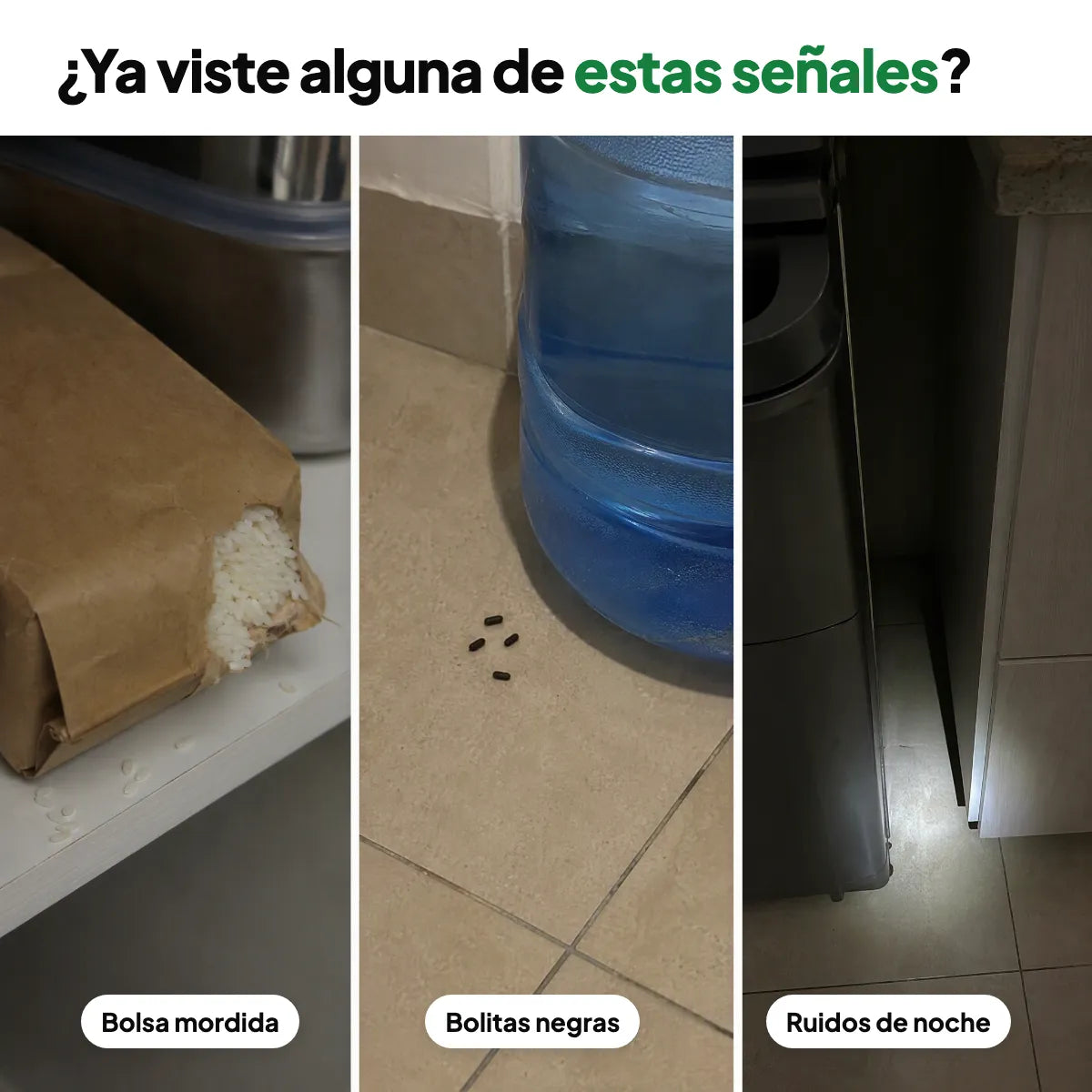 Señales de ratones en casa: bolsa de arroz mordida, bolitas negras junto al garrafón y ruidos detrás de la estufa