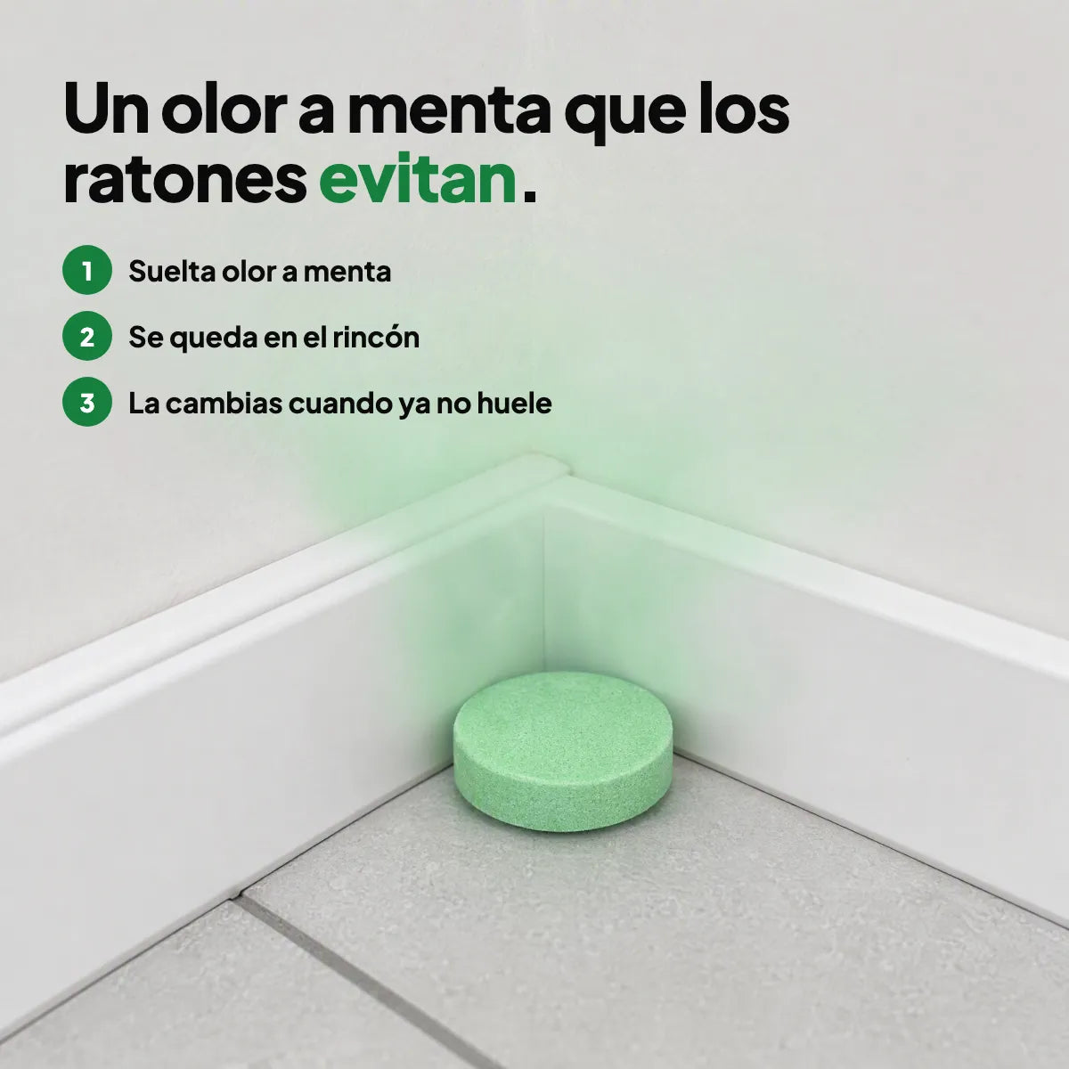 Pastilla Rinco™ en el rincón del zoclo con un olor a menta que los ratones evitan